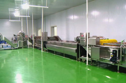 筑巢引鳳添動力，招商引資促發展 譜寫食用菌菌種進出口產業新篇章